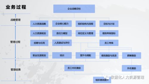 數據產品在人力資源管理的實踐與思考 一、在線數據處理與交易處理業務